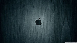 Apple Logo on Dark Brushed Metal Surface with Subtle Lighting Gradient HD wallpaper
