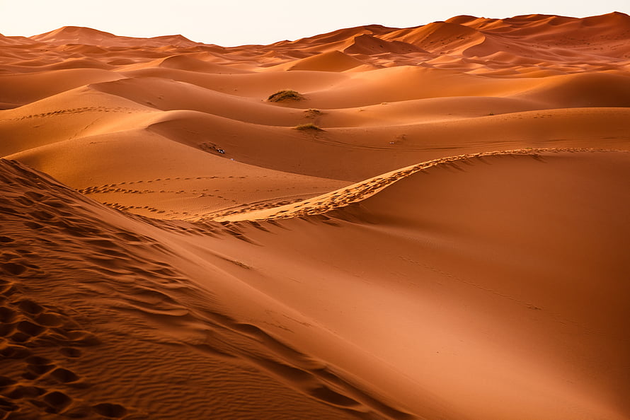 Golden Sand Dunes of the Moroccan Desert at Golden Hour HD wallpaper