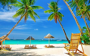 Tropical Paradise Beach Scene With Palm Trees And Bamboo Loungers HD wallpaper