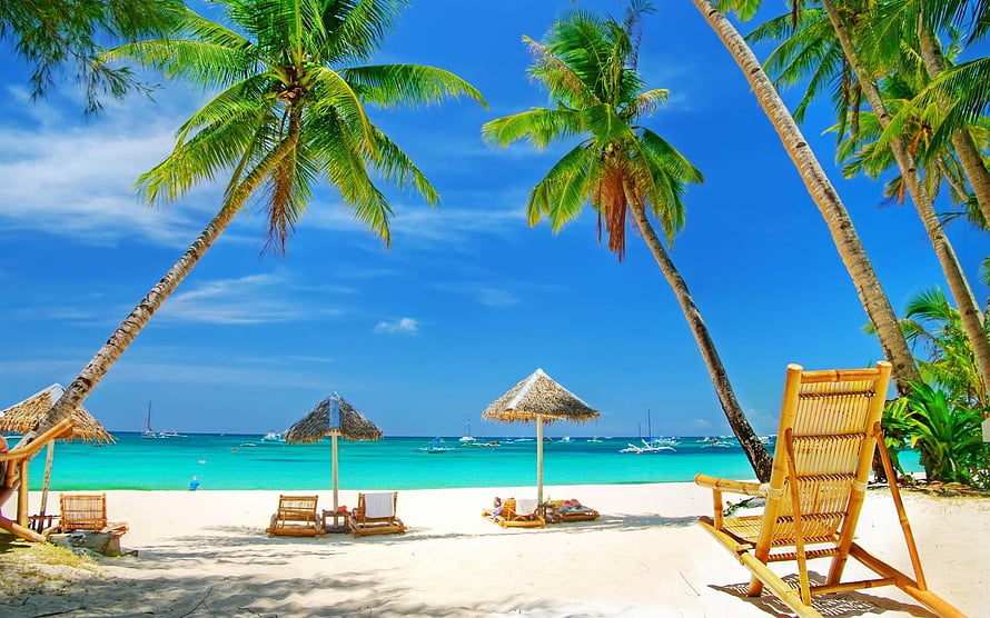 Tropical Paradise Beach Scene With Palm Trees And Bamboo Loungers HD wallpaper