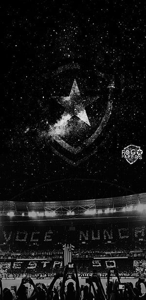 Botafogo Star Emblem Above Stadium Crowd in Black and White HD phone wallpaper