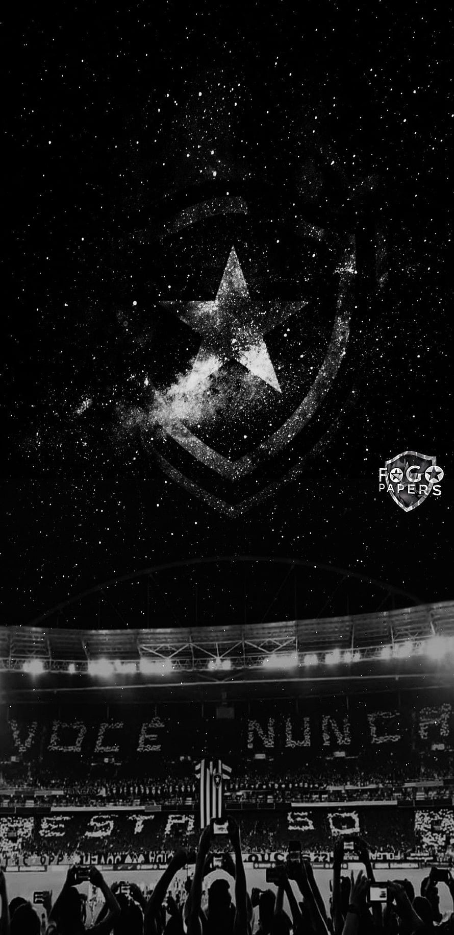 Botafogo Star Emblem Above Stadium Crowd in Black and White HD phone wallpaper