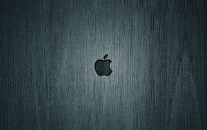Apple Logo Centered on Dark Brushed Metal Texture HD wallpaper