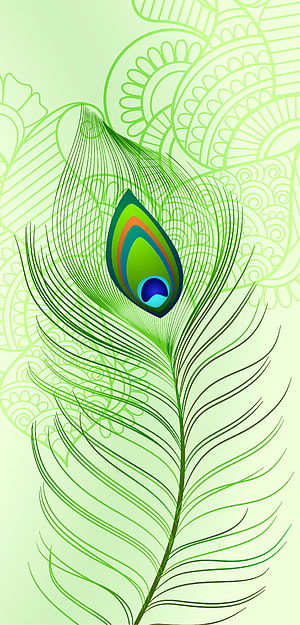Stylized Peacock Feather Vector Art with Green Mandala Pattern Background HD phone wallpaper