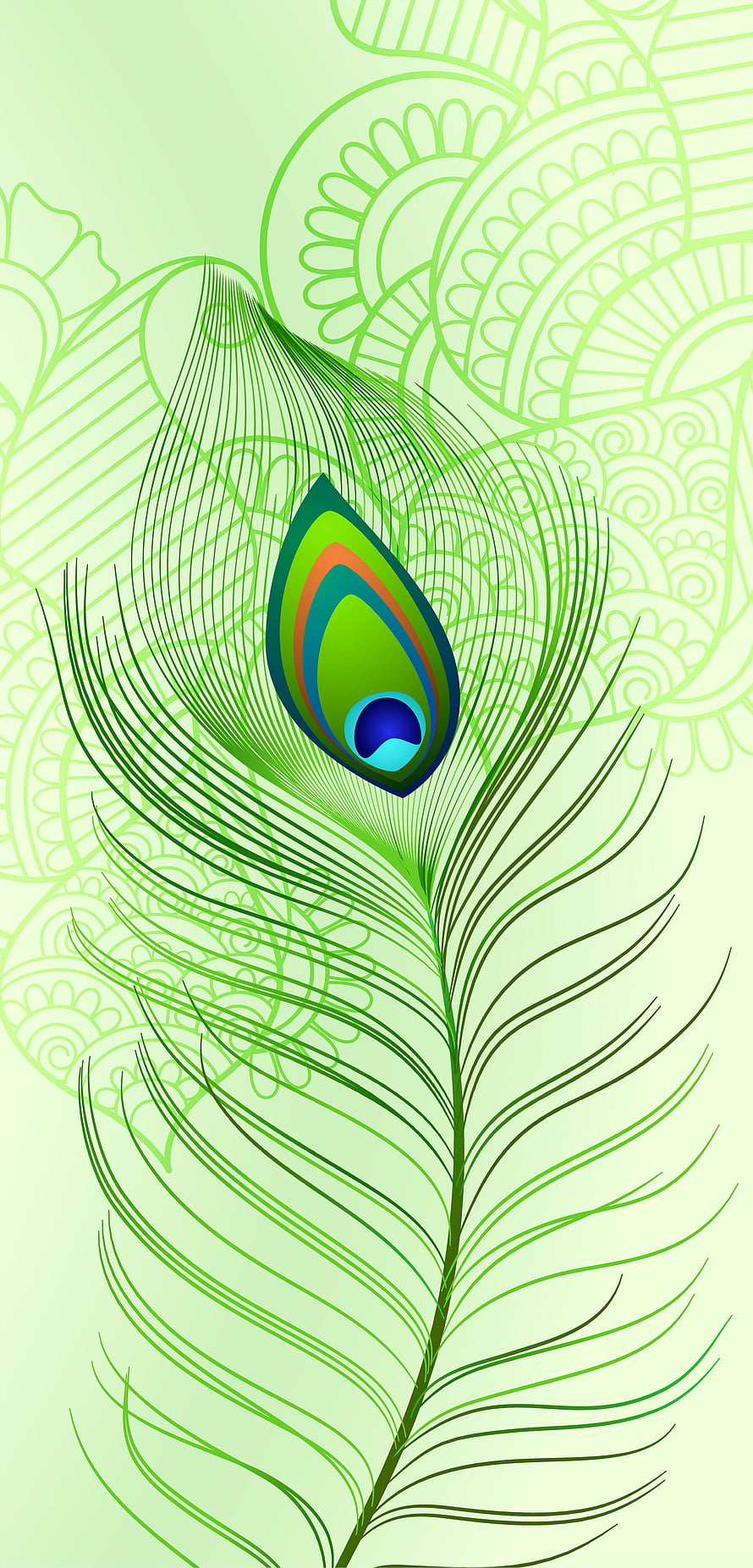 Stylized Peacock Feather Vector Art with Green Mandala Pattern Background HD phone wallpaper
