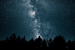Milky Way Galaxy Arching Over Dark Pine Forest Silhouette Under Starry Night Sky HD wallpaper