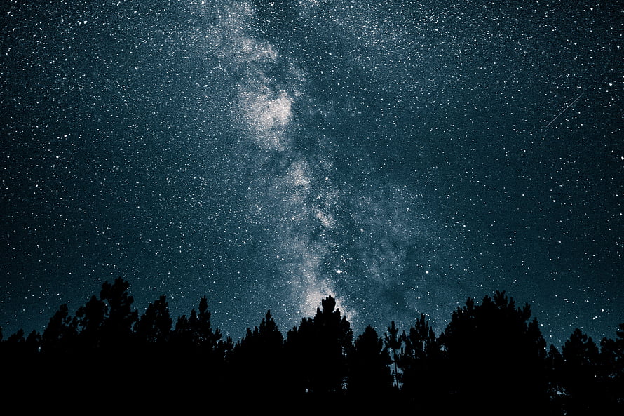 Milky Way Galaxy Arching Over Dark Pine Forest Silhouette Under Starry Night Sky HD wallpaper