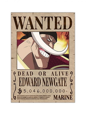 Edward Newgate Whitebeard Wanted Poster from One Piece Anime HD phone wallpaper