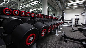 Modern Gym Interior With Organized Dumbbell Racks And Weight Training Equipment HD wallpaper