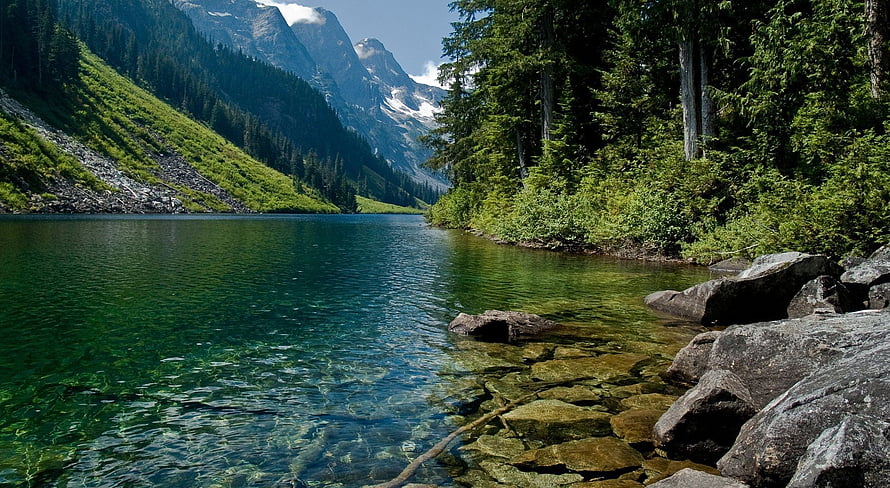 Crystal Clear Alpine Lake Surrounded by Lush Green Forest and Rocky Mountains HD wallpaper