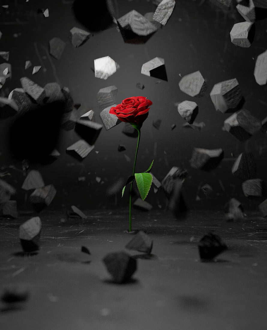 Vibrant red rose standing alone amidst floating stone shards in a dark monochrome 3D scene HD phone wallpaper