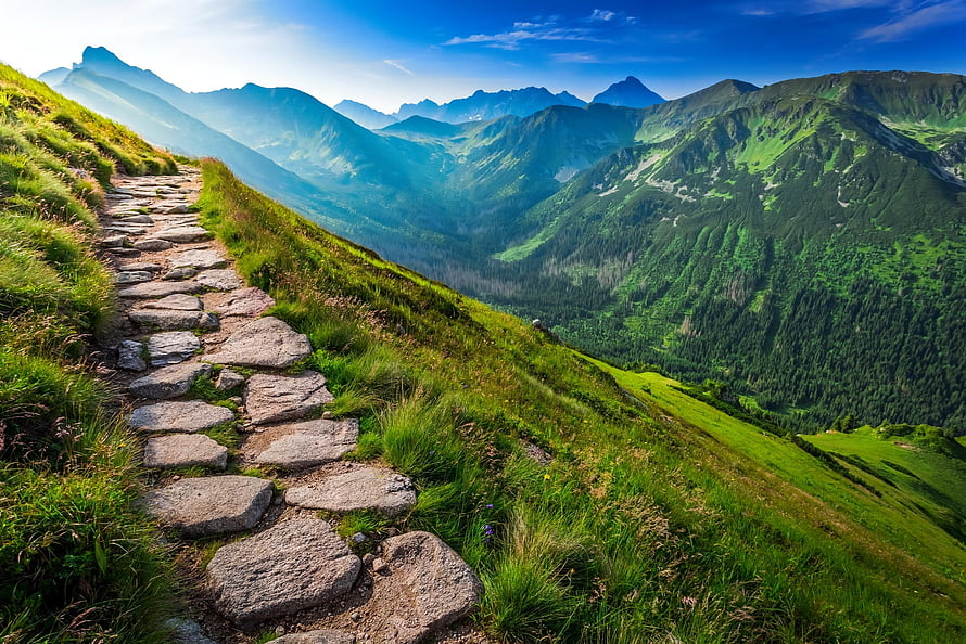 Stone Path Winding Through Lush Green Mountain Slope with Valley View HD wallpaper
