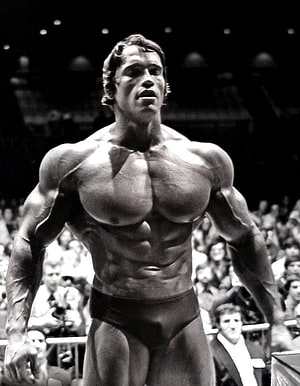 Arnold Schwarzenegger Classic Bodybuilding Pose Black and White Portrait HD phone wallpaper