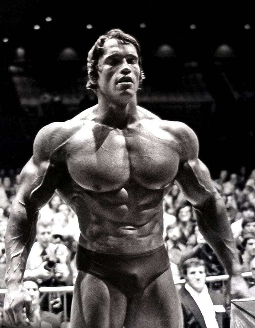 Arnold Schwarzenegger Classic Bodybuilding Pose Black and White Portrait HD phone wallpaper