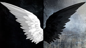 Dual Nature Angel Wings: White and Black Contrast on Grunge Background HD wallpaper