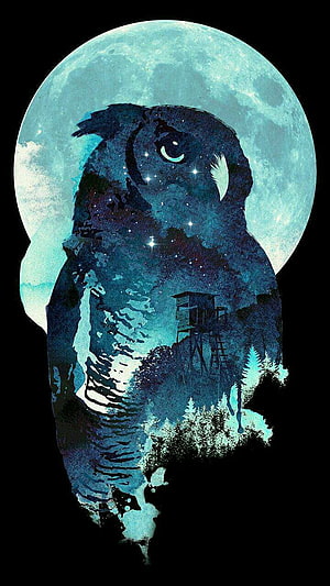 Midnight Owl Double Exposure Art with Full Moon and Starry Night Sky HD phone wallpaper