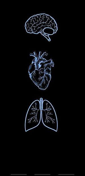 Blue Neon Human Anatomy Illustration Featuring Brain Heart And Lungs On Black Background, Medical school life ideas in 2022, Medicine Aesthetic HD phone wallpaper