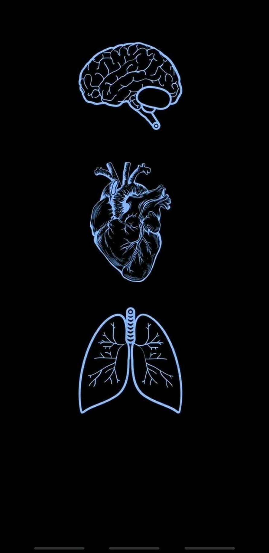 Blue Neon Human Anatomy Illustration Featuring Brain Heart And Lungs On Black Background, Medical school life ideas in 2022, Medicine Aesthetic HD phone wallpaper