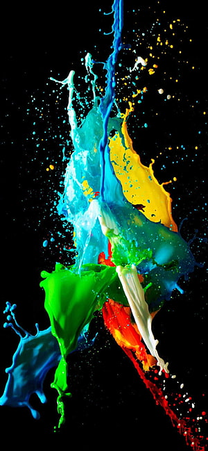 Vibrant Multicolor Paint Splash Explosion on Black Background HD phone wallpaper