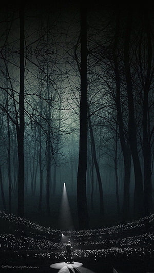 Solitary Figure Under Spotlight in Misty Dark Forest with Glowing Ground HD phone wallpaper