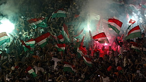 Fluminense FC Fans Waving Flags in Stadium with Smoke and Flares HD wallpaper
