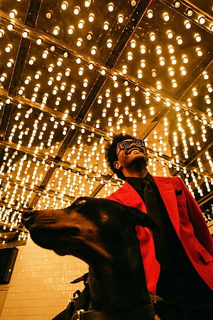The Weeknd in a red suit and star sunglasses with a black dog under a ceiling of warm lights HD phone wallpaper