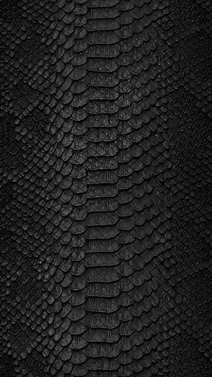 Close-Up Texture of Black Snake Skin Scales for Dark Background HD phone wallpaper
