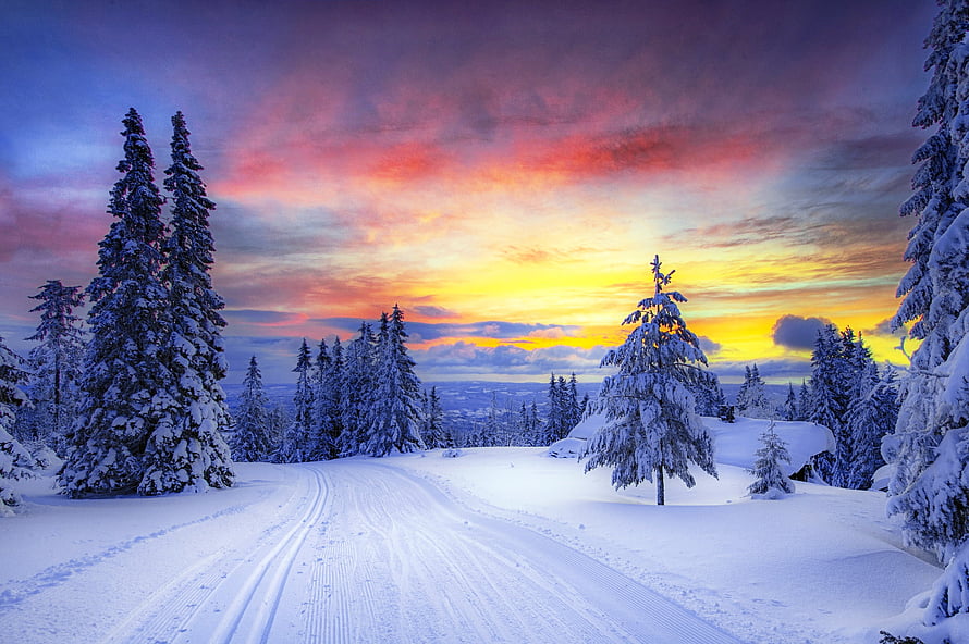 Serene Winter Sunset Over Snowy Forest With Cross-Country Ski Tracks HD wallpaper