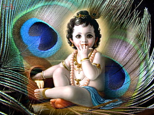 Baby Krishna Laddu Gopal Devotional Portrait With Peacock Feather Background HD wallpaper