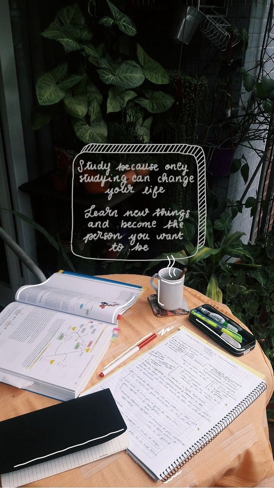 Motivational Study Setup with Open Books, Notebooks, and Plants HD phone wallpaper