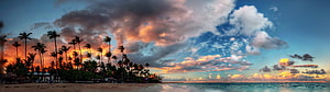 Panoramic tropical beach sunset with palm trees silhouetted against dramatic orange and blue clouds HD wallpaper