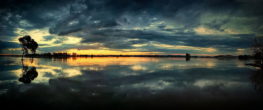 Dramatic Sunset Over the Everglades with Silhouetted Trees and Cloudy Sky HD wallpaper