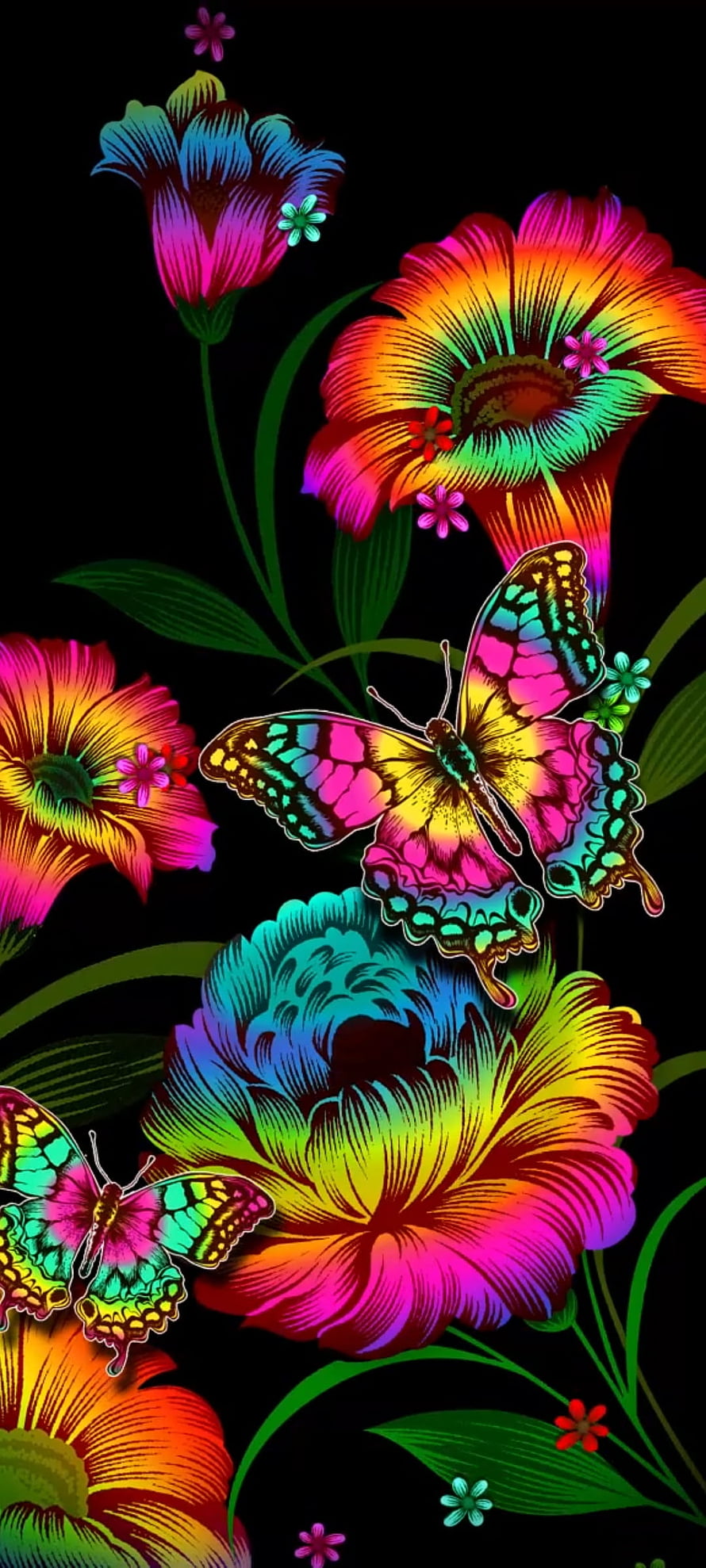 Vibrant Rainbow Flowers and Butterflies on Black Background HD phone wallpaper