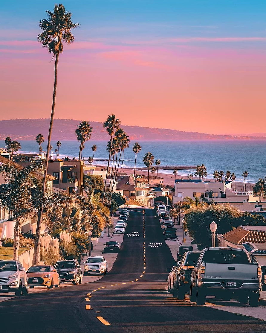 Sunset View of a Coastal Street Lined with Palm Trees and Ocean HD phone wallpaper
