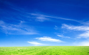 Vast Green Meadow Under a Bright Blue Sky with Wispy Cirrus Clouds HD wallpaper