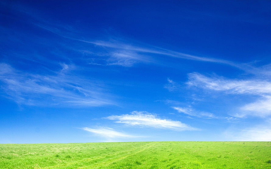 Vast Green Meadow Under a Bright Blue Sky with Wispy Cirrus Clouds HD wallpaper