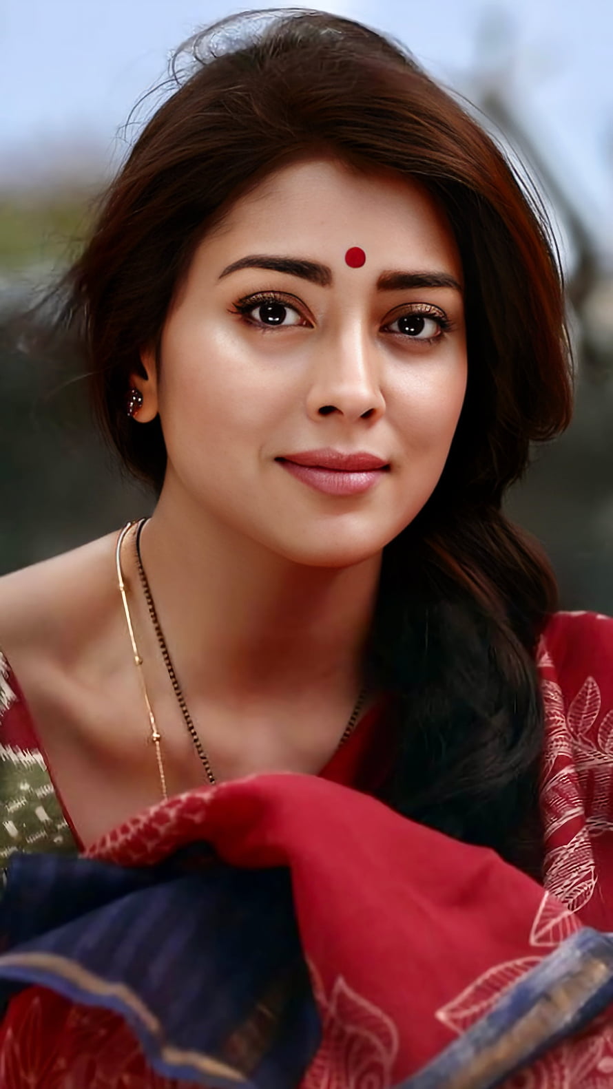 Shreya Saran Portrait in Traditional Red Saree with Gold Jewelry and Bind HD phone wallpaper