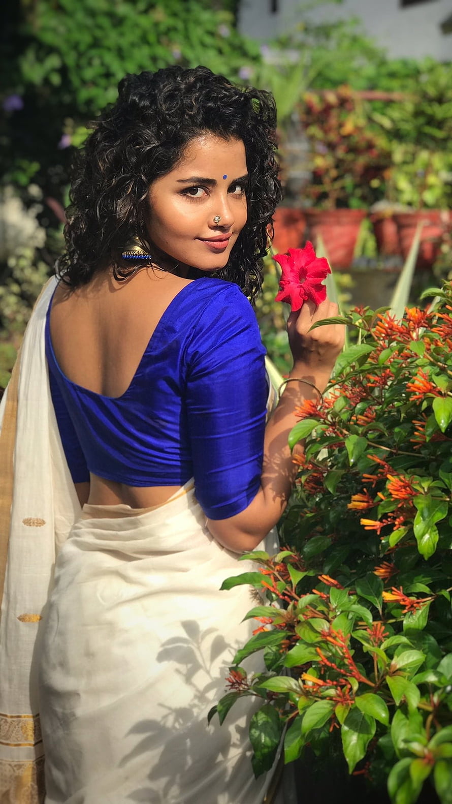 Woman in White Saree and Blue Blouse Holding Red Flower in Garden, Anupama Parameswaran, Tollywood, Actress HD phone wallpaper