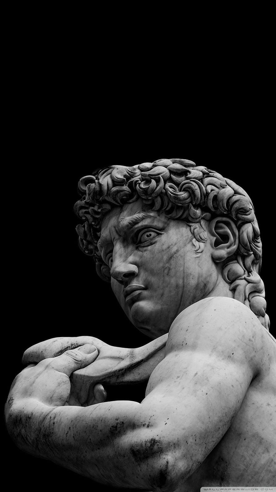 Black and White Close-Up of Michelangelo's David Marble Statue Head and Shoulders HD phone wallpaper