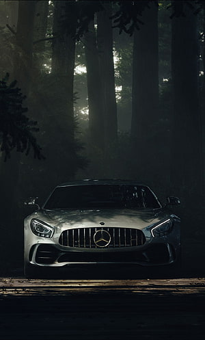 Silver Mercedes-AMG GT R Front View in Dark Misty Forest HD phone wallpaper