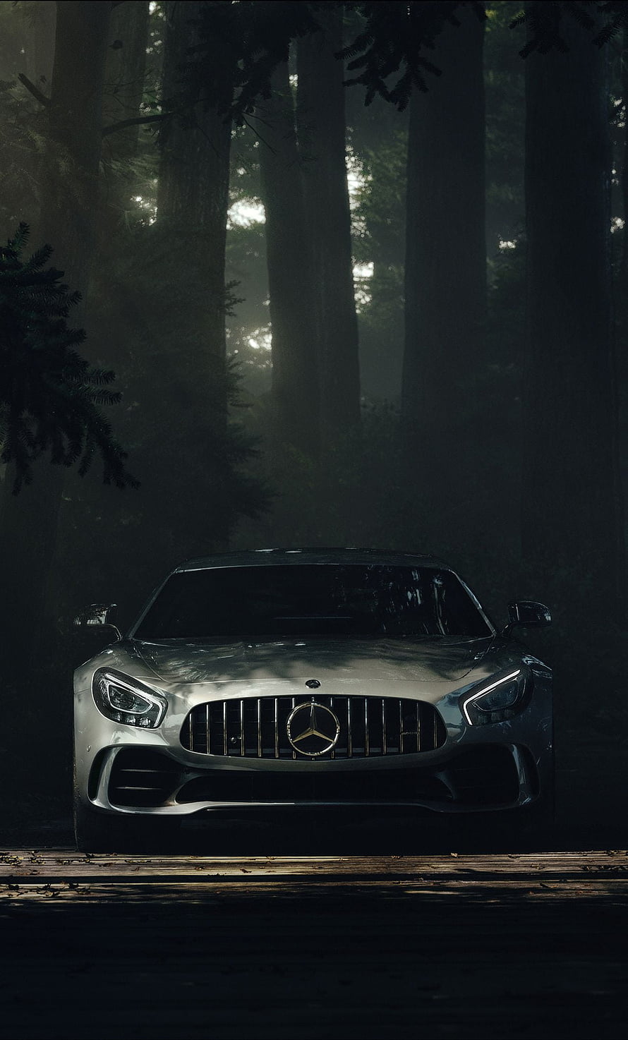 Silver Mercedes-AMG GT R Front View in Dark Misty Forest HD phone wallpaper
