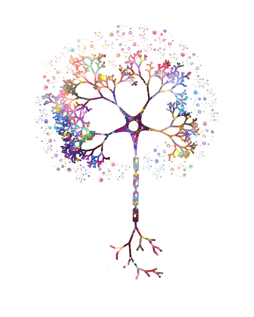 Vibrant Watercolor Neuron Illustration with Multicolored Dendrites and Axon HD phone wallpaper