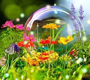 Vibrant Spring Garden with Glass Sphere, Butterflies, and Colorful Wildflowers HD wallpaper