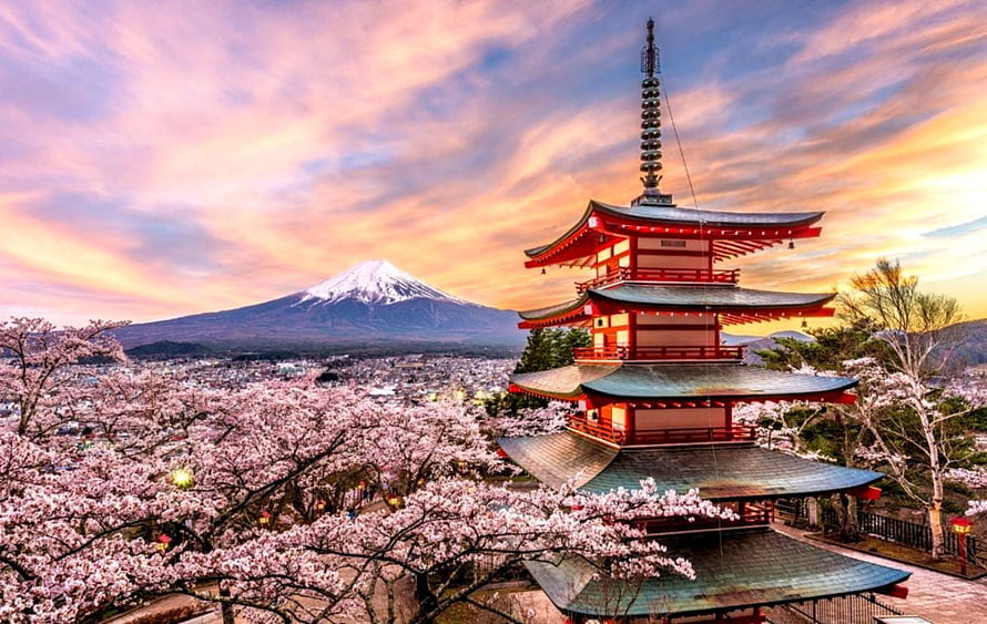 Chureito Pagoda and Mount Fuji at Sunset with Cherry Blossoms in Japan HD wallpaper