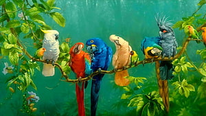 Colorful Parrots and Cockatoos Perched on a Jungle Branch HD wallpaper
