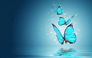 Three Glowing Blue Morpho Butterflies Dancing Above Calm Water Surface HD wallpaper