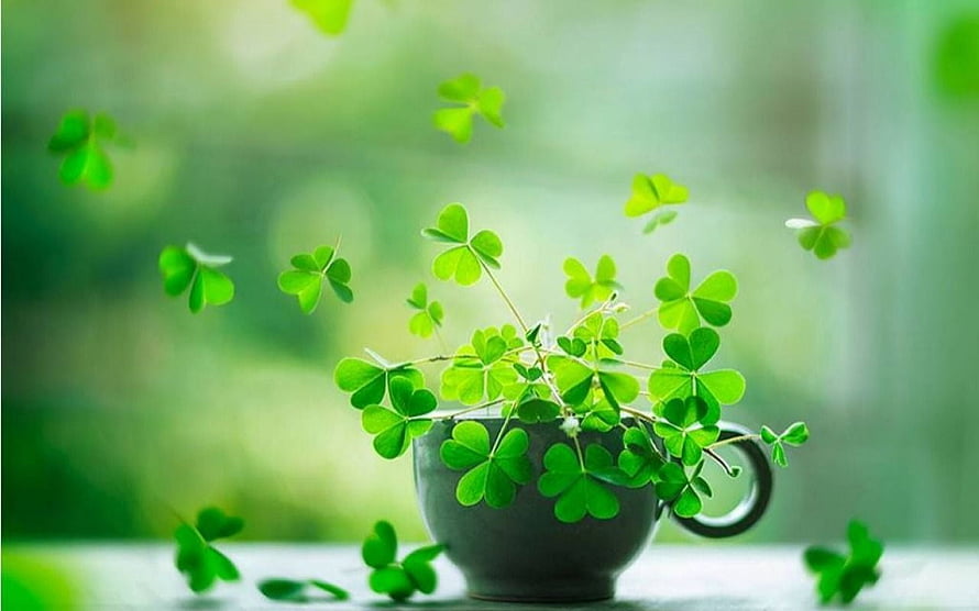 Magical Four Leaf Clovers Floating Around a Teacup in a Green Fantasy Scene HD wallpaper