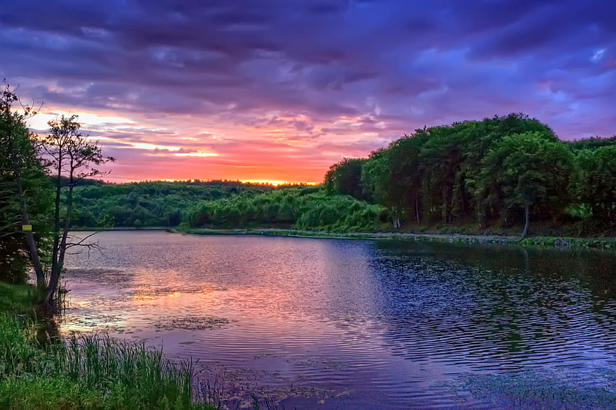 Vibrant sunset over a calm lake with lush green forest and colorful sky reflections HD wallpaper
