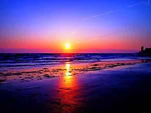 Vibrant sunset over the ocean with a golden reflection on the wet sandy beach HD wallpaper