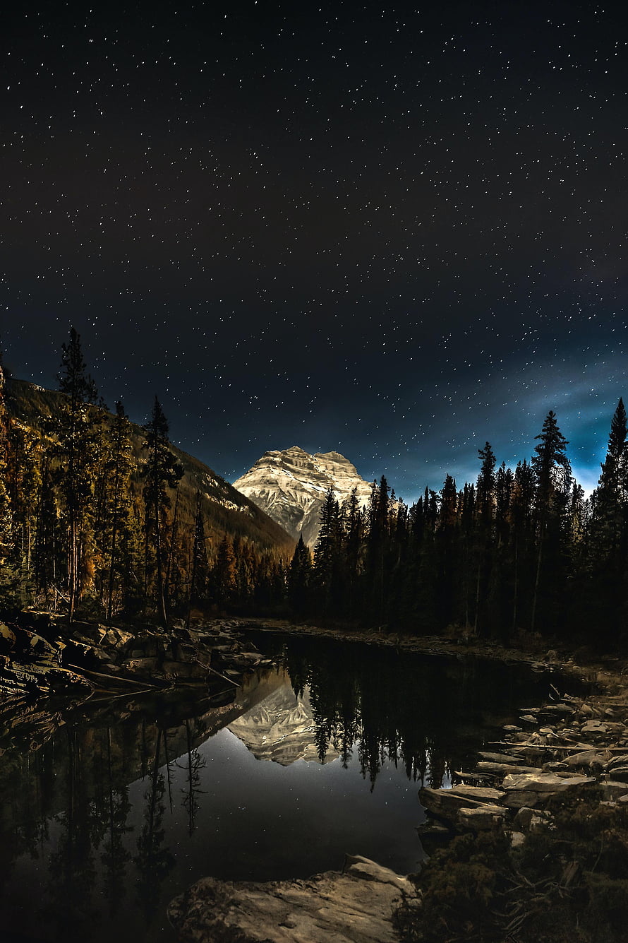 Starry Night Sky Over Snow-Capped Mountain and Calm Lake Reflection in Forest HD phone wallpaper